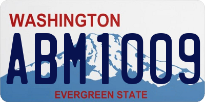 WA license plate ABM1009