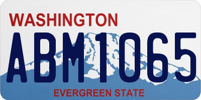 WA license plate ABM1065