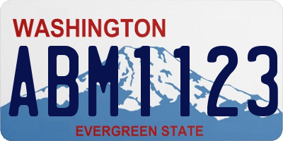 WA license plate ABM1123