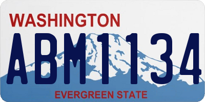 WA license plate ABM1134
