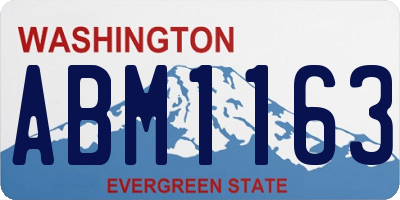 WA license plate ABM1163