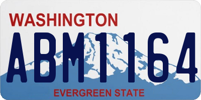 WA license plate ABM1164