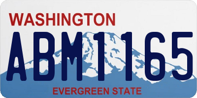 WA license plate ABM1165