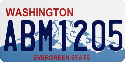 WA license plate ABM1205