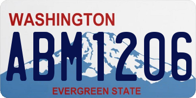 WA license plate ABM1206