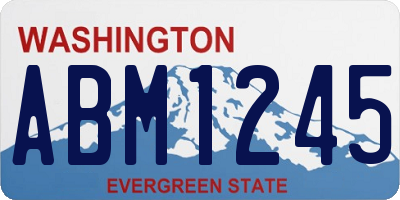 WA license plate ABM1245