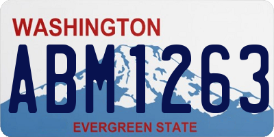 WA license plate ABM1263