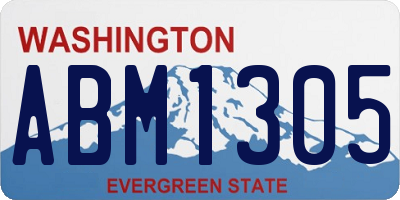 WA license plate ABM1305