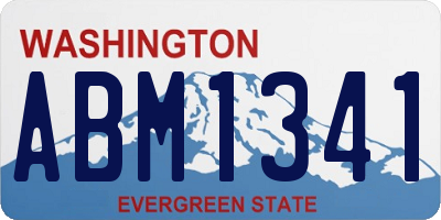 WA license plate ABM1341