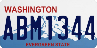 WA license plate ABM1344