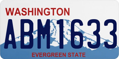 WA license plate ABM1633