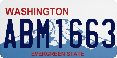 WA license plate ABM1663