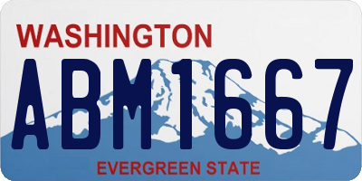 WA license plate ABM1667