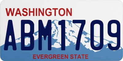 WA license plate ABM1709