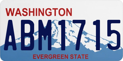 WA license plate ABM1715