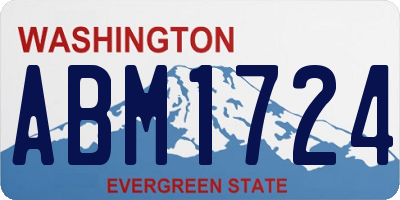 WA license plate ABM1724