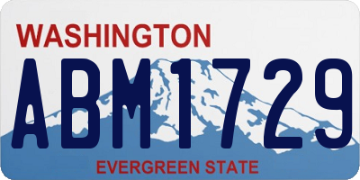 WA license plate ABM1729
