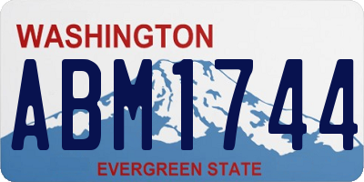 WA license plate ABM1744
