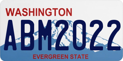 WA license plate ABM2022