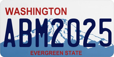 WA license plate ABM2025
