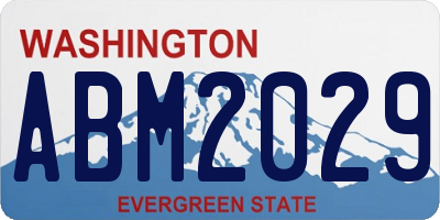 WA license plate ABM2029