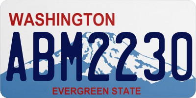 WA license plate ABM2230