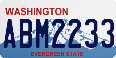 WA license plate ABM2233