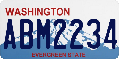 WA license plate ABM2234