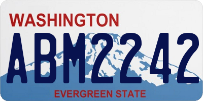 WA license plate ABM2242