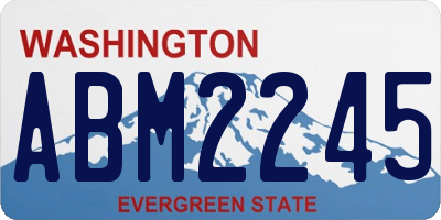 WA license plate ABM2245