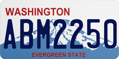 WA license plate ABM2250
