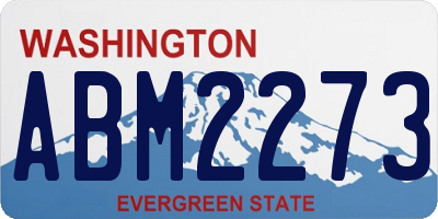 WA license plate ABM2273
