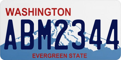 WA license plate ABM2344