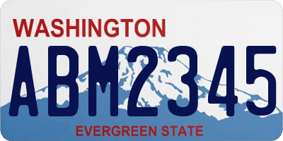 WA license plate ABM2345