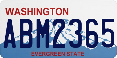 WA license plate ABM2365