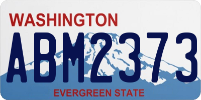 WA license plate ABM2373