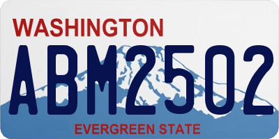 WA license plate ABM2502