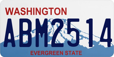 WA license plate ABM2514