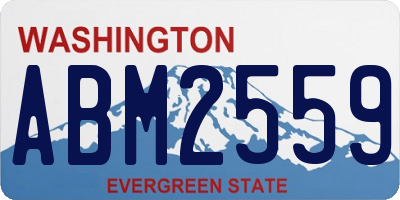 WA license plate ABM2559