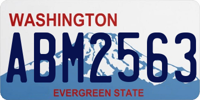 WA license plate ABM2563