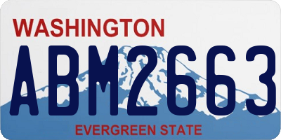 WA license plate ABM2663
