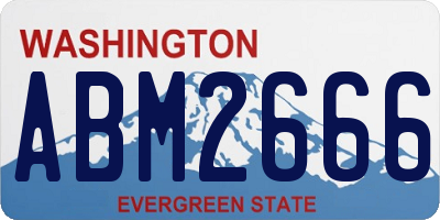 WA license plate ABM2666