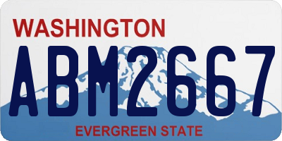 WA license plate ABM2667