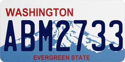 WA license plate ABM2733