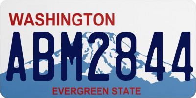 WA license plate ABM2844