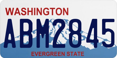 WA license plate ABM2845