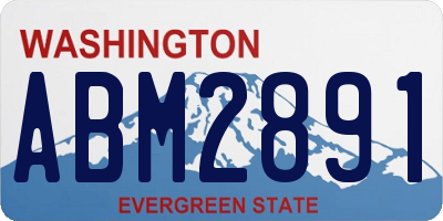 WA license plate ABM2891