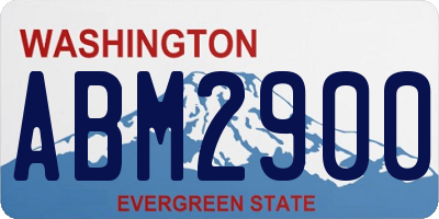 WA license plate ABM2900