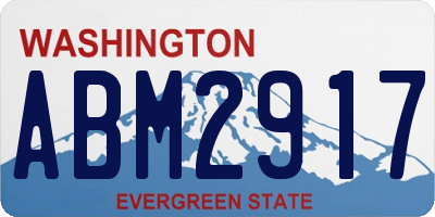 WA license plate ABM2917