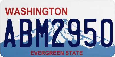 WA license plate ABM2950